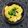 nosso's cooksnap of when they made ☆簡単フライパンで♪卵丼☆.