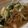 ぴよみ★'s cooksnap of when they made 鮭のクリームパスタ.