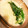 ぎんはる's cooksnap of when they made 簡単！ 長芋 美味しい♪ とろろ汁.
