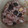 クック1BXKLA☆'s cooksnap of when they made 簡単！桜色の黒豆炊き込みご飯.