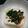 Qoo小雪's cooksnap of when they made おもてなし、おつまみに簡単酒盗豆腐.