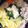 ＹＫＮ４．３'s cooksnap of when they made めちゃうま♡絶品✿みぞれ✿鍋.