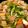 momoetsu's cooksnap of when they made せり汁.