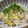 けゆあ's cooksnap of when they made もやしの酢の物.