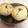 みーちゃん。＊'s cooksnap of when they made 桜餅風もちもち食パン.