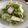 エイビーズ's cooksnap of when they made 簡単！お弁当や副菜！塩昆布で白菜の浅漬け.