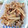 ＴＯＭＯＷＡＴ's cooksnap of when they made ◉簡単牛肉とごぼうのしぐれ煮.