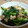 バルバルママ's cooksnap of when they made 無糖減塩 小松菜・豚ばら・厚揚げ煮浸し.