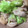 クック9HDOBA☆'s cooksnap of when they made 鶏モモとキャベツのゆず胡椒炒め.