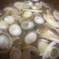 料理初心者ʕ•ᴥ•ʔ's cooksnap of when they made あさりのお味噌汁.
