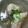 サーフブレイド's cooksnap of when they made 潮汁.
