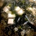 ゆんも★'s cooksnap of when they made “焼き肉屋さんの”わかめスープ.