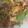yuriレシピ's cooksnap of when they made 鶏肉としめじとピーマンの炒め物.