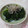 イチゴ、イチゴ。's cooksnap of when they made 簡単‼ほうれん草のしらすのせ.