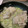 ちゃび丸's cooksnap of when they made ポークソテー☆ネギ塩だれ.