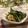 ぽっぽぺぺ's cooksnap of when they made 小松菜のオイスターソース炒め.