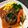 クリオネM's cooksnap of when they made 手作り簡単煮込みハンバーグソース.