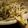 emola's cooksnap of when they made 大ヒット！豚じゃがもやし炒め！！.