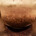 栗丸うさぎ's cooksnap of when they made チアシードChia Seed の 使い方.