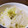 クリーピングタイム☆'s cooksnap of when they made 白菜と大根とゆず風味の浅漬け.