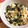 riamxyu's cooksnap of when they made 簡単副菜☆しめじとほうれん草の白和え.