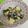 ＃Yuzu＃'s cooksnap of when they made お豆とわかめのサラダ♡.