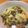 ビビ♡'s cooksnap of when they made 白菜ときのこのとろーりあんかけ豆腐.