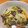 ビビ♡'s cooksnap of when they made 白菜ときのこのとろーりあんかけ豆腐.