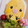 ｉｒａｍ's cooksnap of when they made 簡単 キャラ弁 ✾ ぴよぴよオムライス.