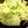 クックGSZT2F☆'s cooksnap of when they made キャベツとしらすのパパっと一品.
