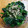 あたりめっこ's cooksnap of when they made ＊ほうれん草のおひたし＊.