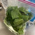 mantacarp's cooksnap of when they made 冷凍小松菜☆簡単ストック☆栄養士ママ.