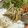 ♡MINE♡'s cooksnap of when they made 簡単おつまみ☆ごぼうの揚げない塩唐揚げ。.