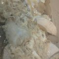 ＊ぱーる＊'s cooksnap of when they made 簡単！ふわとろ！親子丼の黄金比.