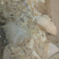 ＊ぱーる＊'s cooksnap of when they made 簡単！ふわとろ！親子丼の黄金比.