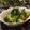 ぽっぽぺぺ's cooksnap of when they made ブロッコリーの変わりゴマ和え。.