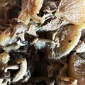 1男4女のママ's cooksnap of when they made ヨシダソースで煮る~冷凍大根と豚肉の煮物.