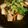 クックYOWFOW☆'s cooksnap of when they made 洋風！ぶりのわさびソテー.