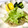 すさぴ's cooksnap of when they made 簡単！ポークソテーとレタスの混ぜご飯♪.