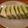 ごへいもちらぶ's cooksnap of when they made 豆腐とアボカドのトリュフオイルかけ.