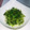ｻﾞ・ワンピース's cooksnap of when they made 簡単♪無限湯通し豆苗☆和風ver..