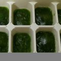 咲月's cooksnap of when they made 【離乳食初期】ブロッコリーペースト.