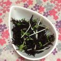 ぽぽきゅ's cooksnap of when they made ひじき梅サラダ.