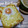こそぼ's cooksnap of when they made 簡単♪マヨ卵トースト.