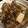 桜藍陽's cooksnap of when they made 激ウマ！大根のステーキ風炒め.