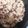 マスカッティー's cooksnap of when they made 炊きおこわ、小豆の茹で方で美味しい赤飯☆.