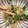 mari♪☻'s cooksnap of when they made 簡単！激ウマ！鶏皮ぽん酢.