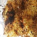 とろーるる's cooksnap of when they made ♡サバのパン粉焼き　カレーマヨ風味♡.
