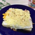 ３匹の大ぶたママ's cooksnap of when they made 時短！簡単！とろカリクロックマダム！.