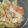 クックUL8OCM☆'s cooksnap of when they made パパッと簡単！鮭の蒸し焼き.